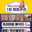 이지드림 이미지