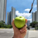 [블로그챌린지] 주간일기 9 - 돼지런하게 먹고 엑스크루에서 러닝도