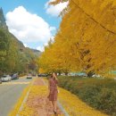 경상북도산림과학박물관(휴관) 이미지