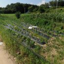 여주-0460 이미지