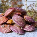 청해수산 이미지