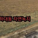 금알공인중개사사무소 이미지