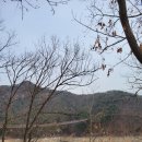 진이네인삼사