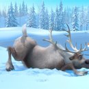 엔하코리아 이미지