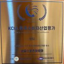 손담바디케어