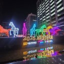 초롱초롱도서관 | 2025 마지막 밤 서울 빛 초롱축제 다녀온 후기
