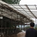 선진축사 이미지