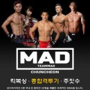 팀매드 이미지