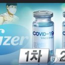 속보 – 화이자는 고아 아기에게 Covid-19 백신을 테스트하기 위해 실험한 혐의를 받고 있습니다. 이미지