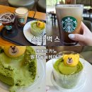 커피둥둥 | 스타벅스 신상 맛보기 : 에어로카노, 말차둥둥베어리 후기