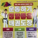 한국체대 리더스태권도장 이미지