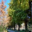 황금코다리(광주매월점) | 하나님을 사랑한 마음이 남긴 흔적 황금 코다리에서 나누는 언니와의 식사