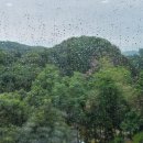 고석정가든 이미지