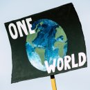 다모행정사 합동사무소 이미지