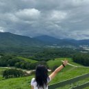 대관령바우한우목장 이미지