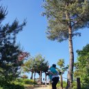 청대산 주차장 이미지