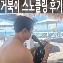 농담Bar | 길리 터틀포인트 위치부터 수심까지! 길리터틀스팟 스노클링 후기 (La Moomba Bar & Restaurant)