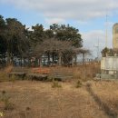 신평농협주유소 이미지