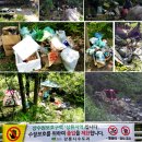 동해-단속-18 이미지