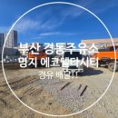 대저중앙초등학교 이미지