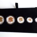 2014 Fine Silver Fractional Set : The Maple Leaf 이미지