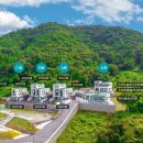 티라 061 이미지