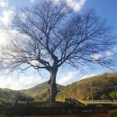 청룡사지길 이미지