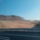 직지플러스
