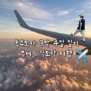 인천으로 온 재비 | 3박4일 후쿠오카 일기