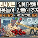 "밤하늘 보러 갔다가 낭패" 라스베가스 역대급 불꽃놀이가 갑자기 취소된 이유 이미지