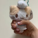 본가수퍼 | 6월 일상 :: 뉴 네일, 본가 방문, 묵호 여행