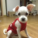 봄내병원 이미지