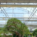 선바위(분재전시관) 이미지