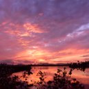 낙동강관리본부-1 이미지