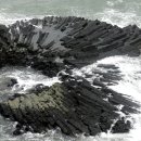 거창-주상-9 이미지