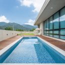 로터스711 이미지