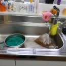 강남아파트 | [공지] 서울 강남구 ○○아파트 세척 후기