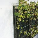 선광집 이미지