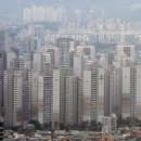 (주)와이오투도시건축 건축사사무소 | 6/23 오늘의 부동산 뉴스