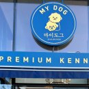 마이도그샵 이미지