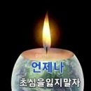 ＜똥기저귀보다 더 하찮은 한국의 똥별들!＞ 어느 노장군의 분노! - 꽃 보직 - 이미지