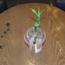 25시노래연습장 이미지