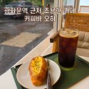 커피바 오하 | 광화문역 근처 아늑한 카페 소금빵 맛집 커피바 오하 내돈내산 후기