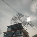 객현2리 이미지