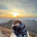 성주시장 | 성주, 가야 호텔 * 근처 가볼만한곳 오도산 전망대 온천 맛집 카페 거창 여행 추천