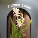 원터농장 이미지