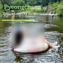 흥정마켓 | 강원도 계곡 추천 흥정계곡 그리네 마켓 평상 대여 내돈내산 후기