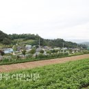 피끝마을 이미지