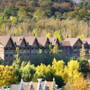 홈브리지 캐빈호스텔 이미지