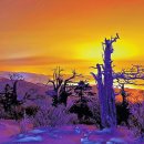 태백시장애인복지회관 이미지